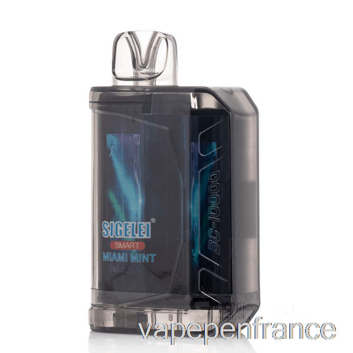 Sigelei Smart Ac10000 0% Zéro Nicotine Stylo Vape Jetable Miami Menthe
